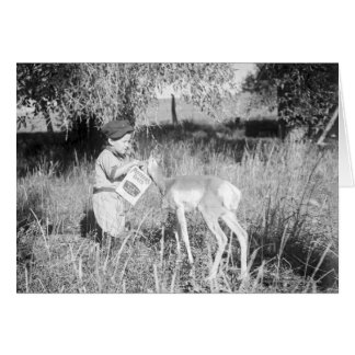 Boy feeding antelope