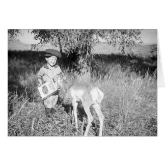 Boy feeding antelope by hand
