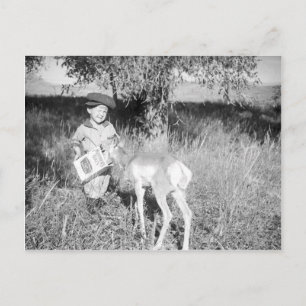 Boy feeding antelope by hand postcard