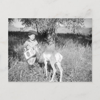 Boy feeding antelope by hand postcard