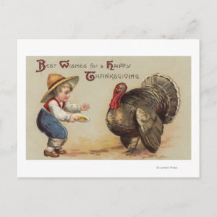 Boy Feeding Turkey Postcard