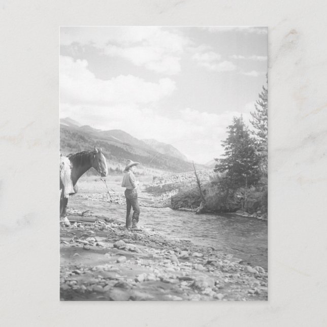 Boy fly fishing. postcard (Front)