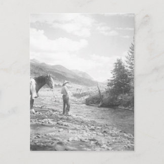 Boy fly fishing. postcard