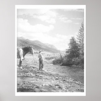 Boy fly fishing. poster