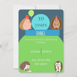 Boy Hedgehog Birthday Party Invitation