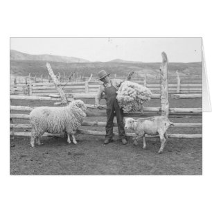 Boy holding up a bundle of wool