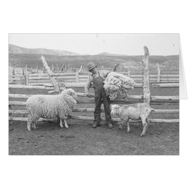 Boy holding up a bundle of wool (Front Horizontal)