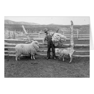 Boy holding up a bundle of wool