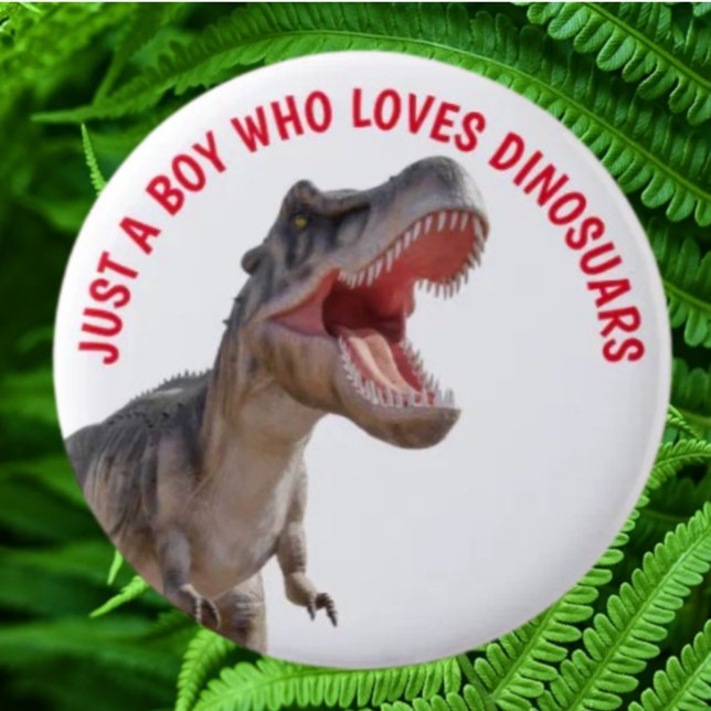Boy Loves Dinosaurs  6 Cm Round Badge (Bring your dream party to life with our selection of quality Dinosaur themed party supplies )