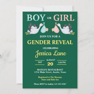 Boy or Girl Gender Reveal Baby Shower Invitation