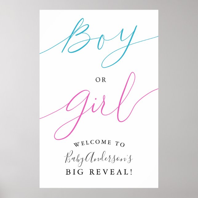 Boy Or Girl Gender Reveal Party Welcome Sign (Front)