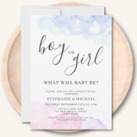 Boy Or Girl Pink And Blue Gender Reveal