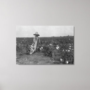 Boy Picking Cotton Photograph West, Texas Canvas Print