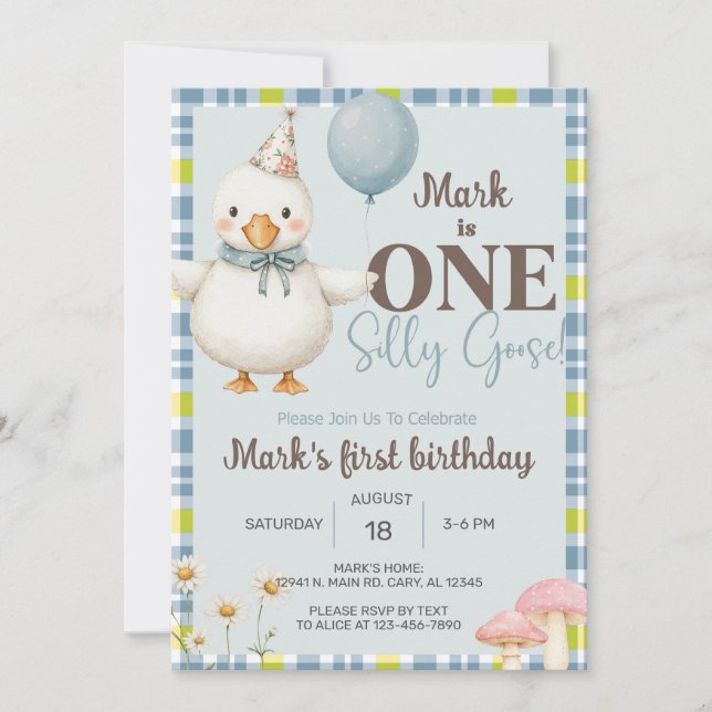 Boy Silly Goose 1st first birthday invite, goose. Invitation (Front)