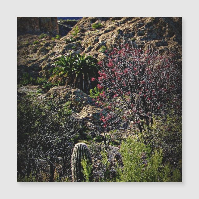 Boyce Thompson Arboretum  (Front)