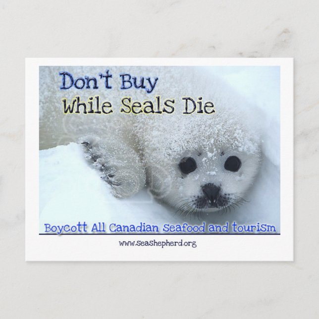 Boycott Canada Postcard (Front)