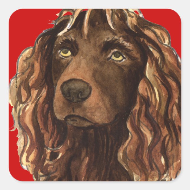 Boykin Spaniel Colour Block Square Sticker (Front)