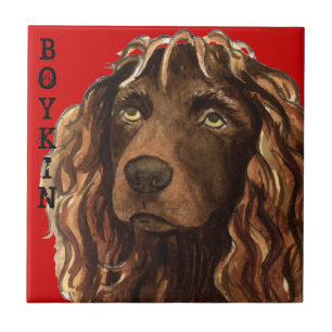 Boykin Spaniel Colour Block Tile