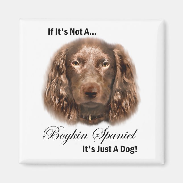 Boykin Spaniel Gifts Magnet (Front)