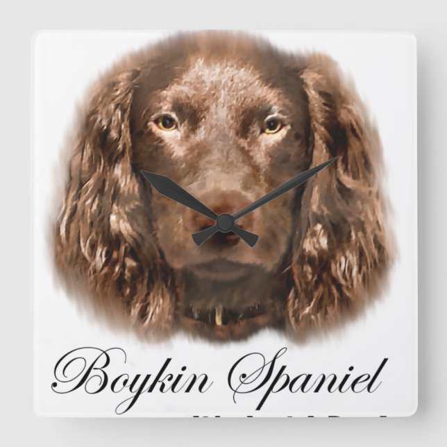 Boykin Spaniel Gifts Square Wall Clock (Front)