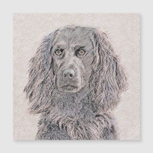 Boykin Spaniel Painting - Cute Original Dog Art