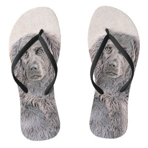 Boykin Spaniel Painting - Cute Original Dog Art Jandals