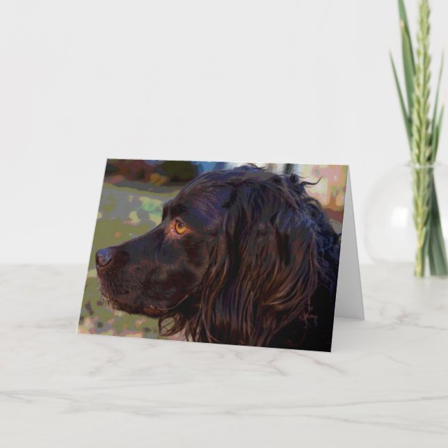 Boykin Spaniel Photo Greeting Card (Front)