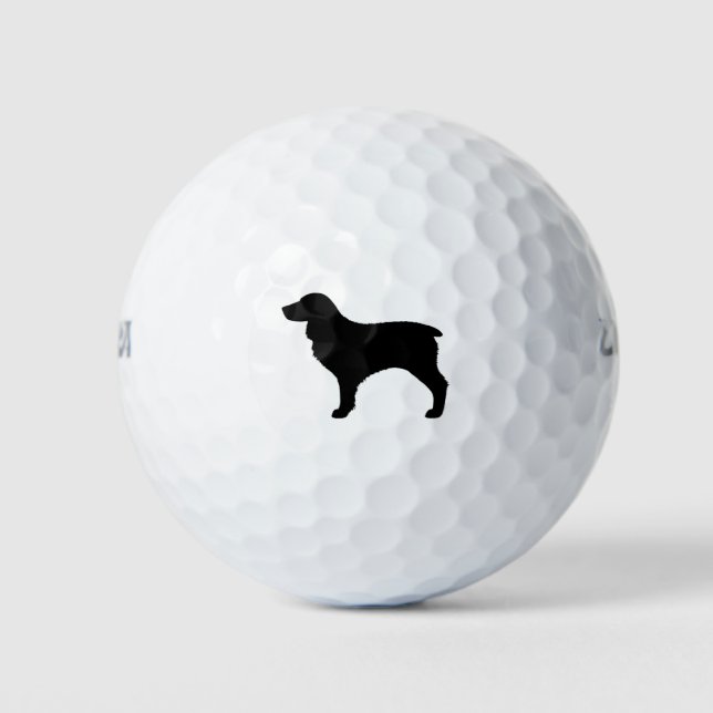 Boykin Spaniel Silhouette Golf Balls (Front)