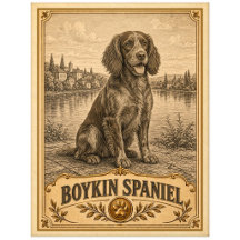 Boykin Spaniel, Vintage Heritage Dog