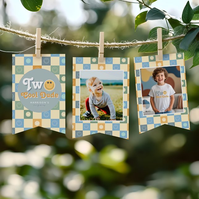 Boys Cute 2nd Birthday Milestone Photo  Bunting (Creator Uploaded)