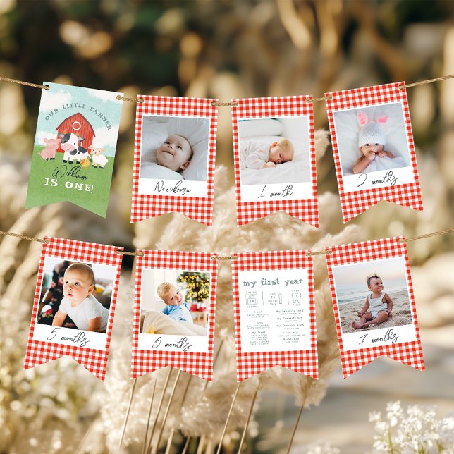 Boys Cute Farm 1st Birthday Milestone Photo Bunting (Creator Uploaded)