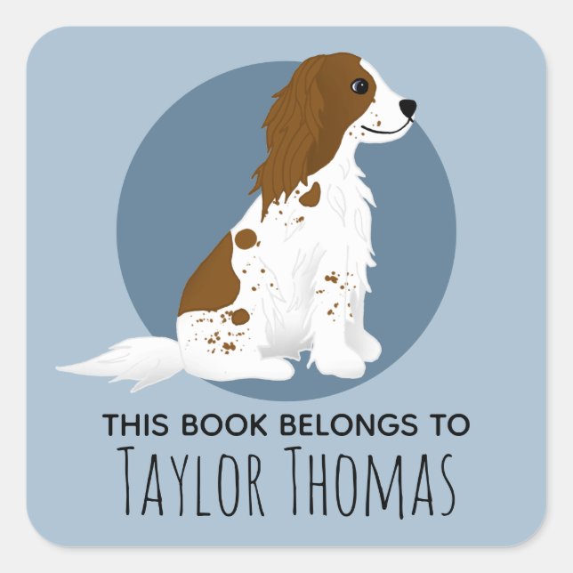Boys Cute 'This Book Belongs' Spaniel Dog Kids Square Sticker (Front)