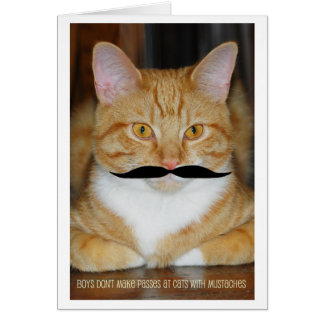 Boys Don't Make Passes at Cats With Moustaches