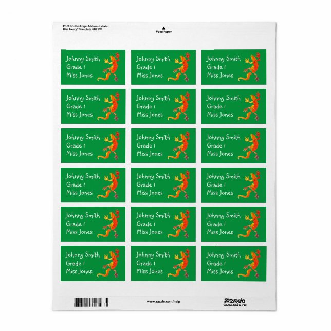 Boy's gecko lizard reptile name book labels (Full Sheet)