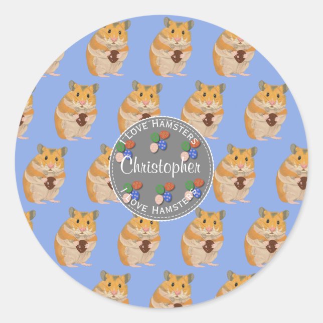 Boys I love Hamsters Easter Pattern Classic Round Sticker (Front)