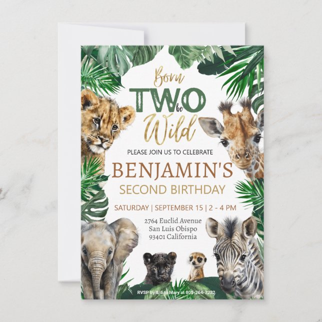 Boys Safari Two Wild Birthday Invitation (Front)