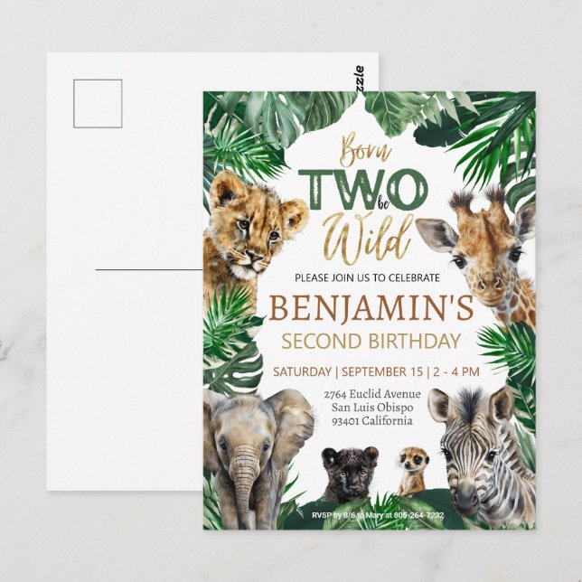 Boys Safari Two Wild Birthday Postcard (Front/Back)