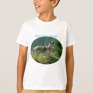 Boys T-Shirt