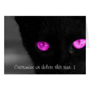 BPUR Black Cat Purple Eyes
