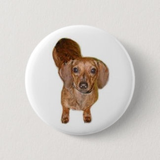 br.dachshund 6 cm round badge