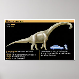 Brachiosaurus - Biology Jurassic Poster