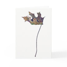 Brachychiton B. australis Leaf Greeting Card