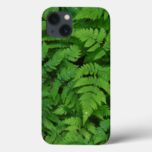 Bracken fern with rain drops, Washington State iPhone 13 Case