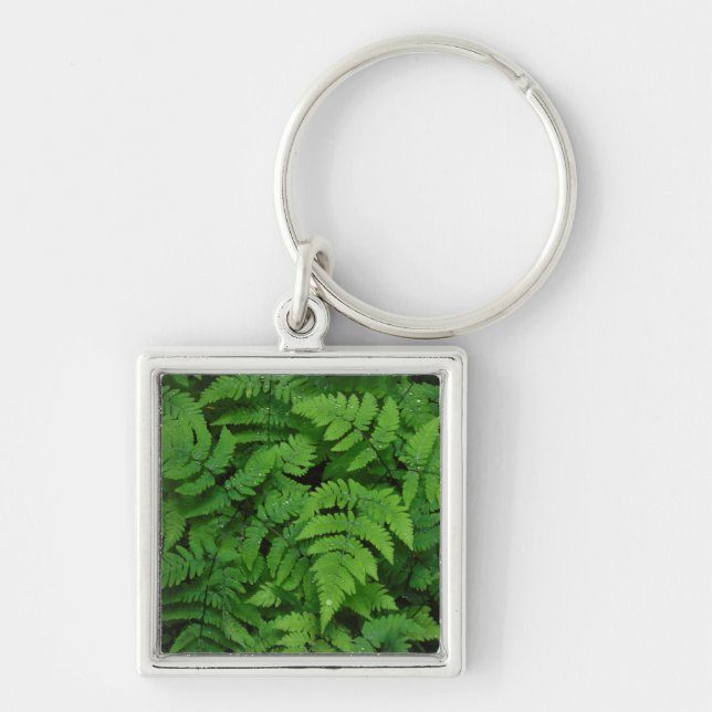Bracken fern with rain drops, Washington State Key Ring (Front)