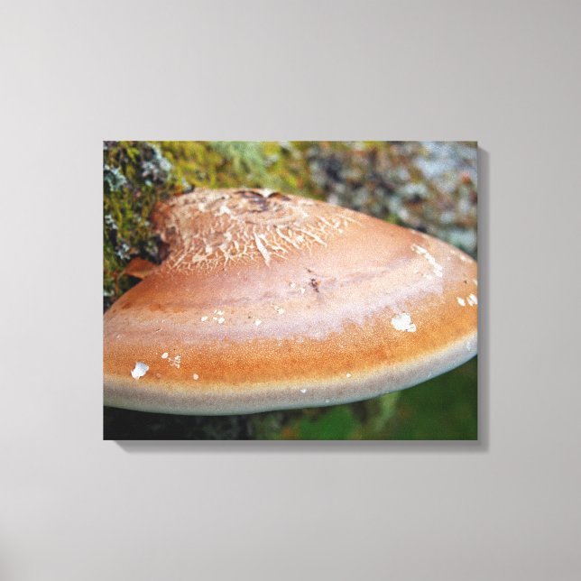 Bracket fungus canvas print (Front)