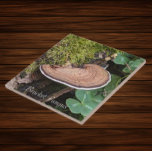 Bracket Fungus Nature Photo Tile<br><div class="desc">For nature and mushroom fans! Ceramic tile featuring the photo image of a Bracket Fungus,  also known as Shelf Fungus,  growing on a moss covered log. Select your tile size. Makes a great kitchen trivet!</div>