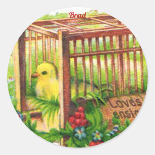 BRAD ~ EASTER CHICK ~ Sweet Cute Vintage Art Classic Round Sticker