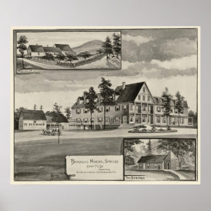 Bradford Mineral Springs Poster