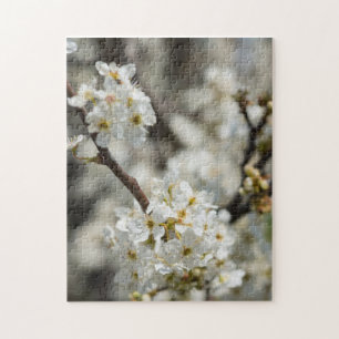 Bradford Select Focus Jigsaw Puzzle