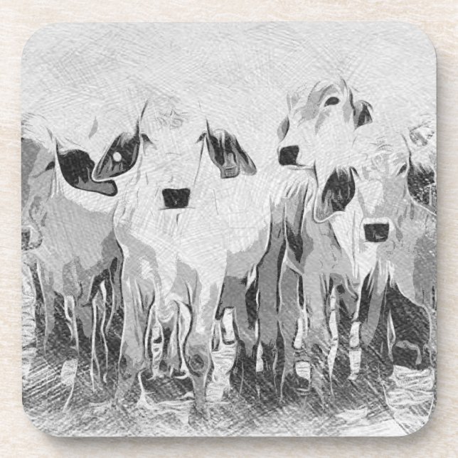 Brah-avo Set of 6 Coasters (Front)